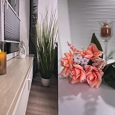 - Ausstattung - Kostenlos Netflix/wifi/parken *