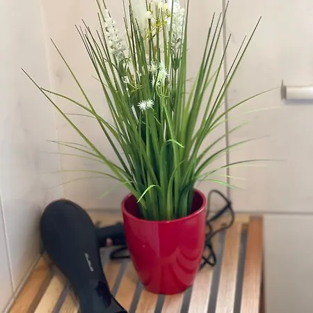 Apartamento - Ausstattung - Kostenlos Netflix/wifi/parken