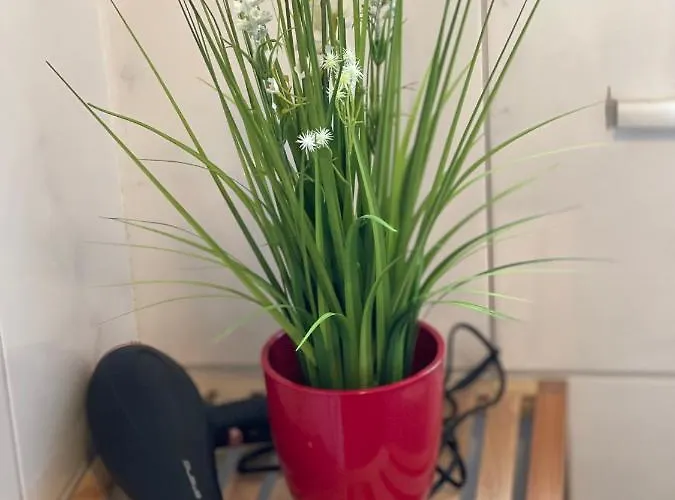 Apartment - Ausstattung - Kostenlos Netflix/wifi/parken